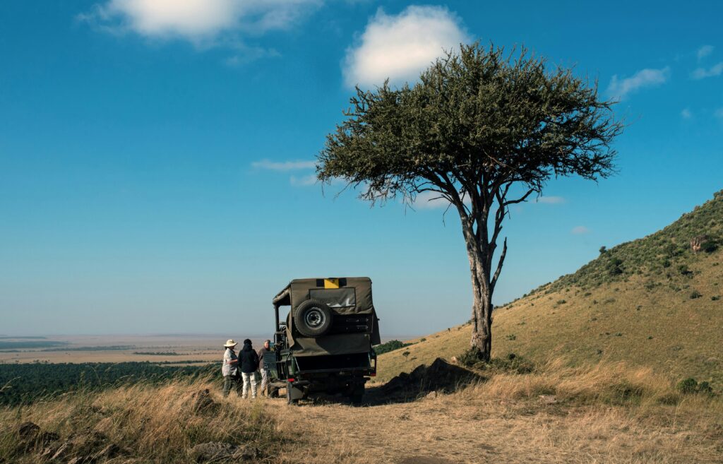 Game drive at masai mara